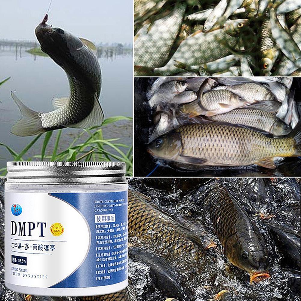 50g dmpt แท้บริสุทธิ์สูง umpan - Fishing Equipment Market บทวิจารณ์และราคา